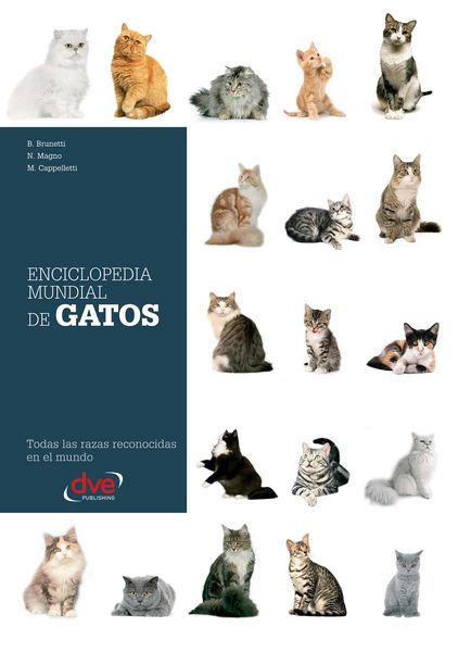 Produktbild: Enciclopedia mundial de gatos