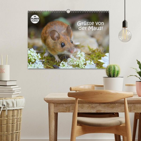 Produktbild: Gr&uuml;sse von der Maus! (Wandkalender 2026 DIN A3 quer), CALVENDO Monatskalender