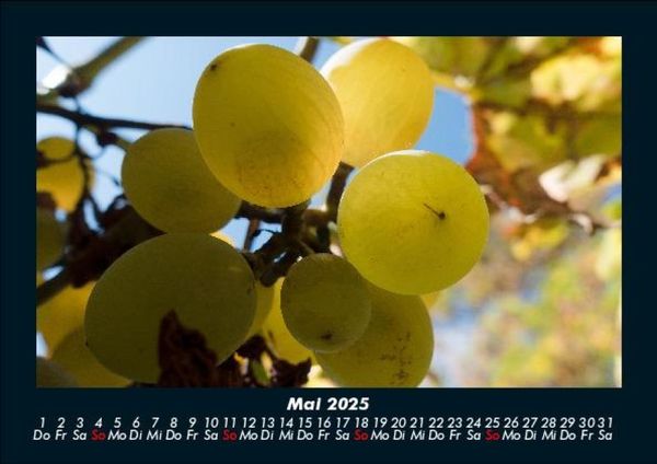 Produktbild: Obstkalender 2025 Fotokalender DIN A5
