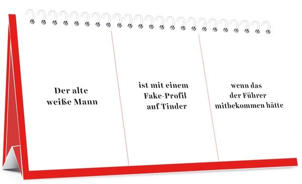 Produktbild: Der Desinformator