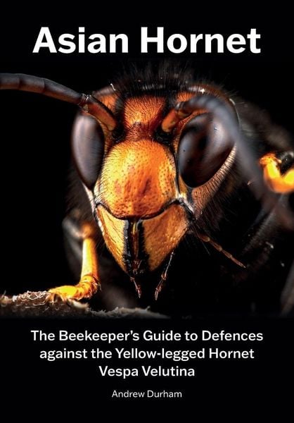 Produktbild: Asian Hornet The Beekeeper's Guide to Defences against the Yellow-legged Hornet Vespa Velutina
