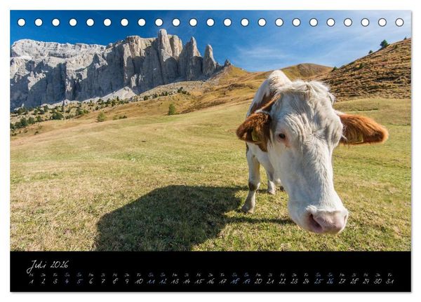 Produktbild: Dolomiten (Tischkalender 2026 DIN A5 quer), CALVENDO Monatskalender