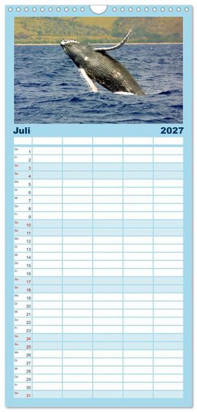 Produktbild: Familienplaner 2027 - Delfine und Wale mit 5 Spalten (Wandkalender, 21 x 45 cm) CALVENDO