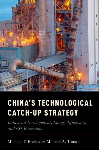 Produktbild: China's Technological Catch-Up Strategy