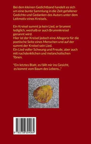 Produktbild: Ein Kreisel summt sein Lied...