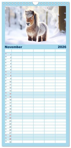 Produktbild: Familienplaner 2026 - Kleine Pferde. Mini-Ponys zum verlieben mit 5 Spalten (Wandkalender, 21 x 45 cm) CALVENDO