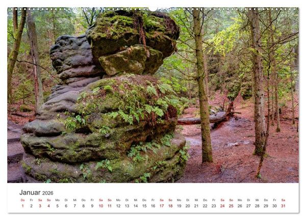 Produktbild: DEUTSCHLAND, S&auml;chsische Schweiz Nationalpark, M&auml;rchenwald (hochwertiger Premium Wandkalender 2026 DIN A2 quer), Kunstdruck in Hochglanz