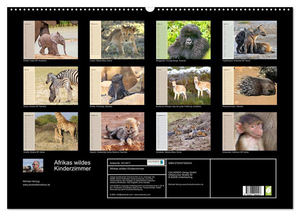 Produktbild: Afrikas wildes Kinderzimmer (Wandkalender 2026 DIN A2 quer), CALVENDO Monatskalender