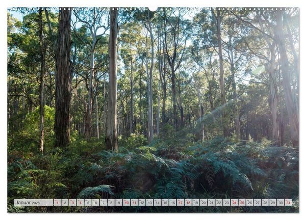 Produktbild: W&auml;lder der Welt (hochwertiger Premium Wandkalender 2026 DIN A2 quer), Kunstdruck in Hochglanz