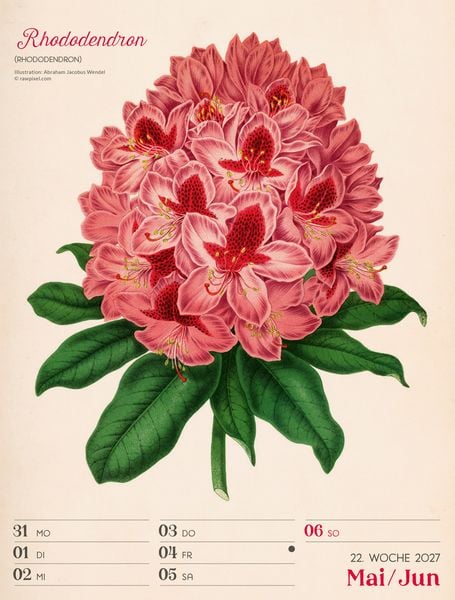 Produktbild: Ars Floralis Wochenplaner Kalender 2027
