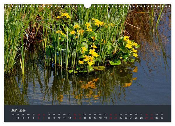 Produktbild: Heimat im Bremer Blockland (Wandkalender 2026 DIN A3 quer), CALVENDO Monatskalender