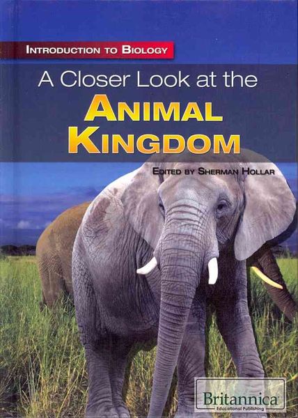 Produktbild: A Closer Look at the Animal Kingdom