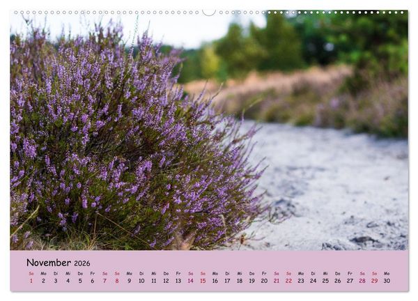 Produktbild: L&uuml;neburger Heide Wege (Wandkalender 2026 DIN A2 quer), CALVENDO Monatskalender