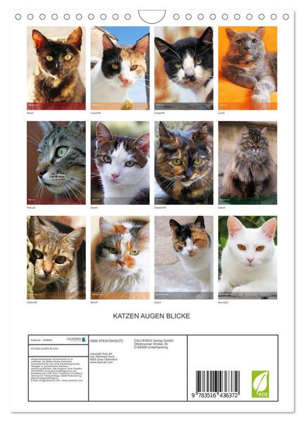 Produktbild: KATZEN AUGEN BLICKE (Wandkalender 2026 DIN A4 hoch), CALVENDO Monatskalender
