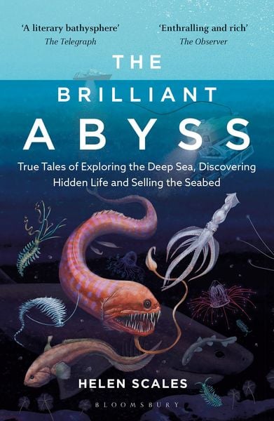 Produktbild: Brilliant Abyss
