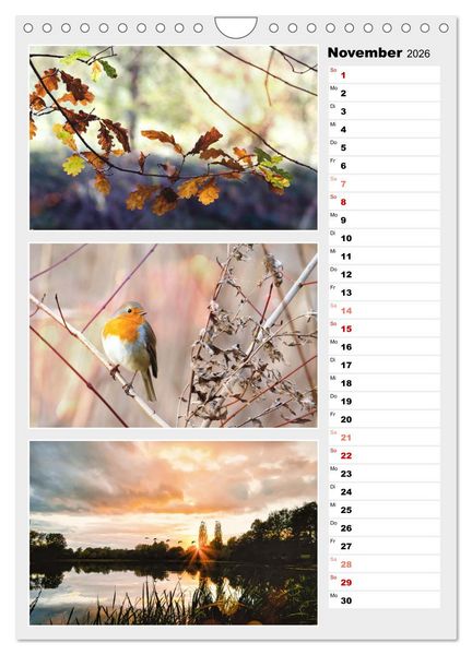Produktbild: Zauberhafte Farben der Natur (Wandkalender 2026 DIN A4 hoch), CALVENDO Monatskalender