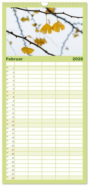 Produktbild: Familienplaner 2026 - Mit Ginkgo biloba durch das Jahr mit 5 Spalten (Wandkalender, 21 x 45 cm) CALVENDO