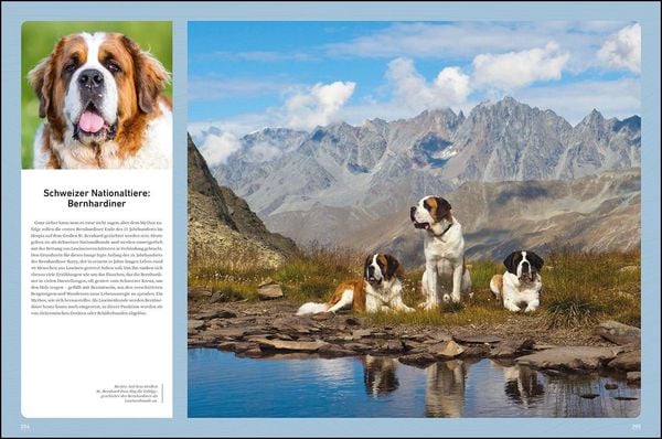 Produktbild: KUNTH Bildband Wilde Alpen