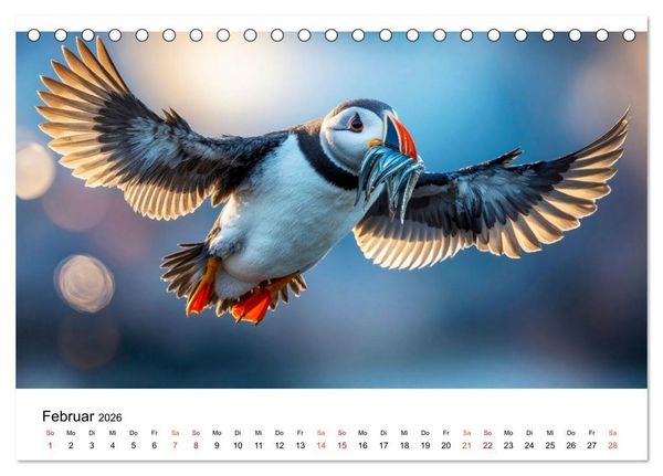 Produktbild: Papageitaucher - Freche Komiker auf Fels und Welle (Tischkalender 2026 DIN A5 quer), CALVENDO Monatskalender