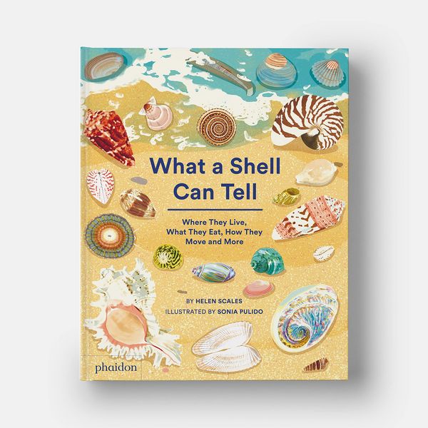 Produktbild: What A Shell Can Tell