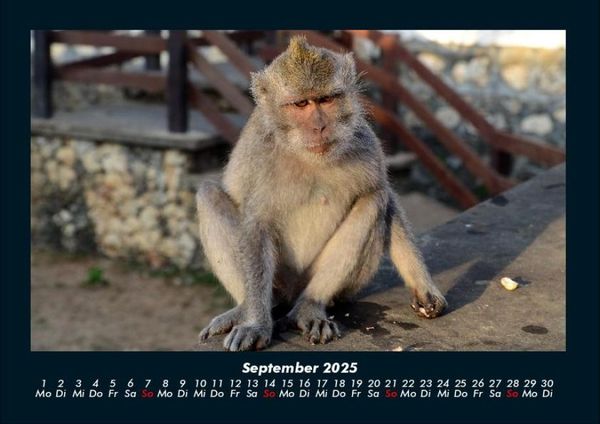 Produktbild: Indonesien 2025 Fotokalender DIN A4