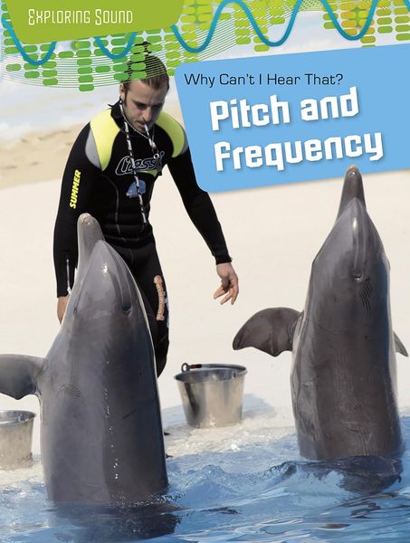 Produktbild: Why Can't I Hear That?: Pitch and Frequency