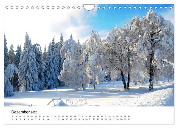 Produktbild: Felder und Wiesen (Wandkalender 2026 DIN A4 quer), CALVENDO Monatskalender