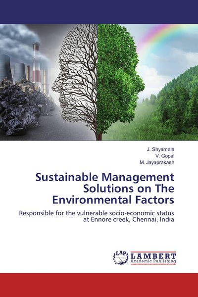 Produktbild: Sustainable Management Solutions on The Environmental Factors
