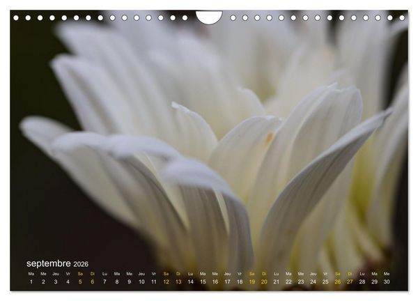 Produktbild: Au c&oelig;ur d&rsquo;une nature color&eacute;e (Calendrier mural 2026 DIN A4 vertical), CALVENDO calendrier mensuel