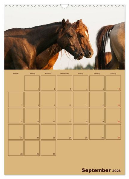 Produktbild: Pferde Gute Freunde (Wandkalender 2026 DIN A3 hoch), CALVENDO Monatskalender