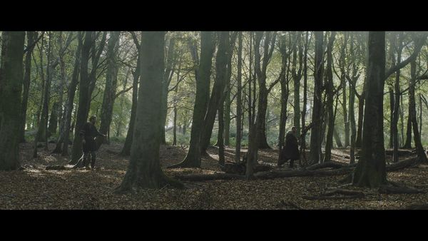 Produktbild: Robin Hood - Der Rebell