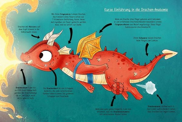 Produktbild: 101 Drachen und alles, was du &uuml;ber sie wissen musst