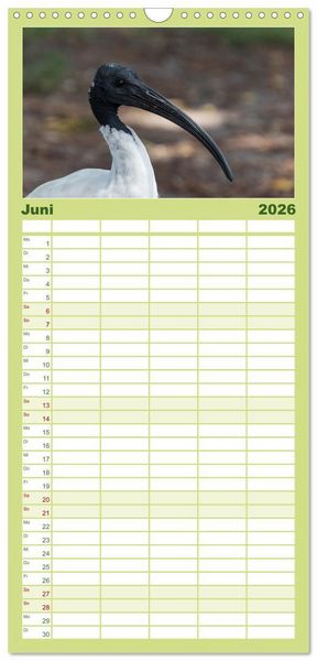 Produktbild: Familienplaner 2026 - Ein Tag in Sydney - eine etwas andere Sicht mit 5 Spalten (Wandkalender, 21 x 45 cm) CALVENDO