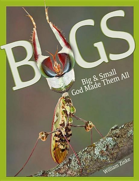 Produktbild: Bugs Big & Small