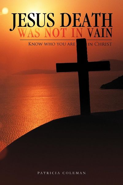 Produktbild: Jesus Death Was Not in Vain