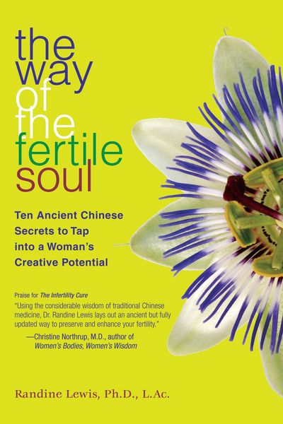Produktbild: The Way of the Fertile Soul