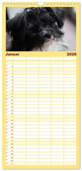 Produktbild: Familienplaner 2026 - Bolonka Zwetna mit 5 Spalten (Wandkalender, 21 x 45 cm) CALVENDO