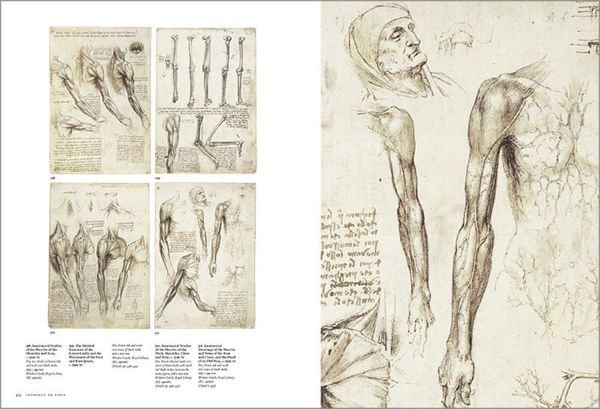Produktbild: L&eacute;onard. Tout l'&oelig;uvre peint et graphique