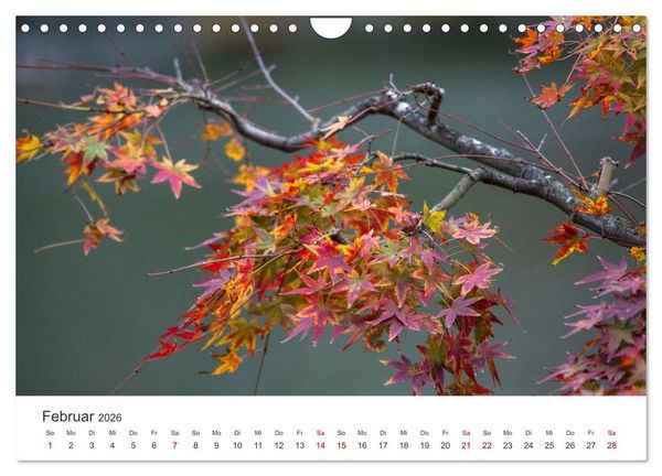 Produktbild: Japanischer Herbst und Laub (Wandkalender 2026 DIN A4 quer), CALVENDO Monatskalender
