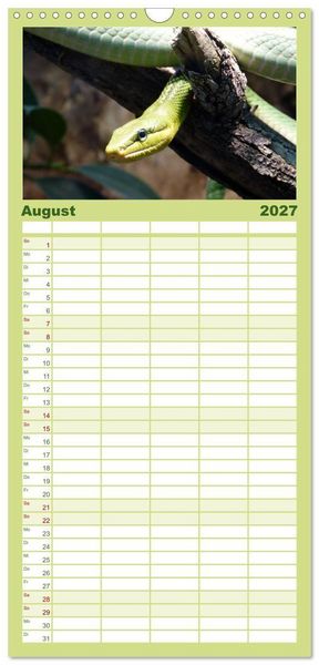 Produktbild: Familienplaner 2027 - Schlangen mit 5 Spalten (Wandkalender, 21 x 45 cm) CALVENDO