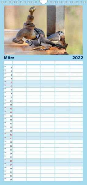 Produktbild: Familienplaner V&ouml;gel von "Down Under" Australien (Wandkalender 2022 , 21 cm x 45 cm, hoch)