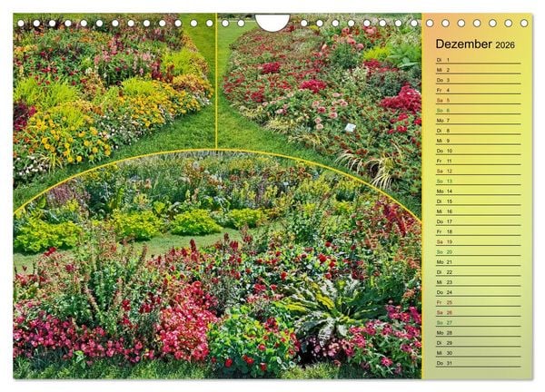 Produktbild: Bl&uuml;hende Gartenparks in Mannheim (Wandkalender 2026 DIN A4 quer), CALVENDO Monatskalender