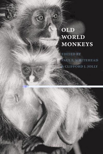 Produktbild: Old World Monkeys