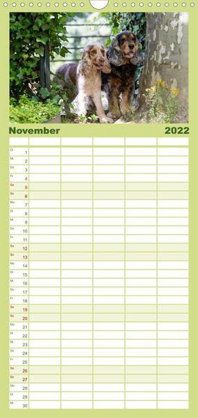 Produktbild: Familienplaner English Cocker Spaniel - Fr&ouml;hliche Gesellen (Wandkalender 2022 , 21 cm x 45 cm, hoch)