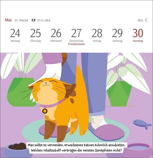 Produktbild: Unn&uuml;tzes-Wissen-Quiz Katzen Premium-Postkartenkalender 2027 - Kalender mit 53 R&auml;tselkarten