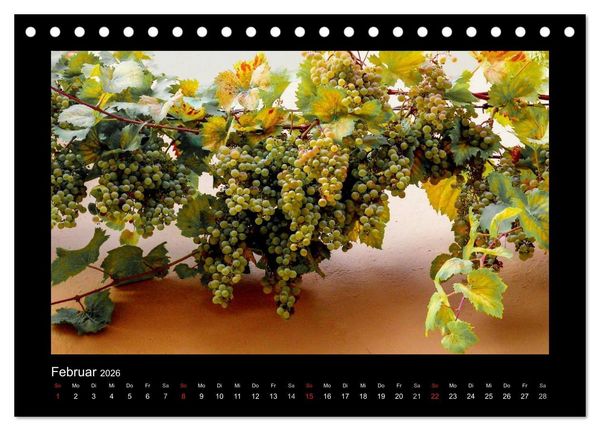 Produktbild: Wein - Reben, Wingerte und historische Weinkeller (Tischkalender 2026 DIN A5 quer), CALVENDO Monatskalender