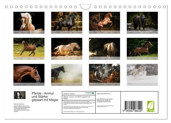 Produktbild: Pferde - Anmut und St&auml;rke gepaart mit Magie (Wandkalender 2027 DIN A4 quer), CALVENDO Monatskalender