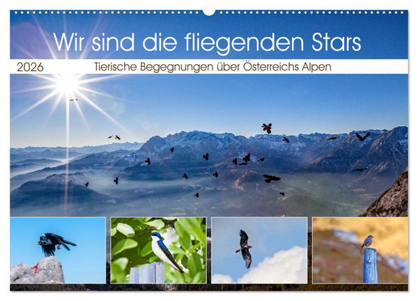 Produktbild: Wir sind die fliegenden Stars (Wandkalender 2026 DIN A2 quer), CALVENDO Monatskalender