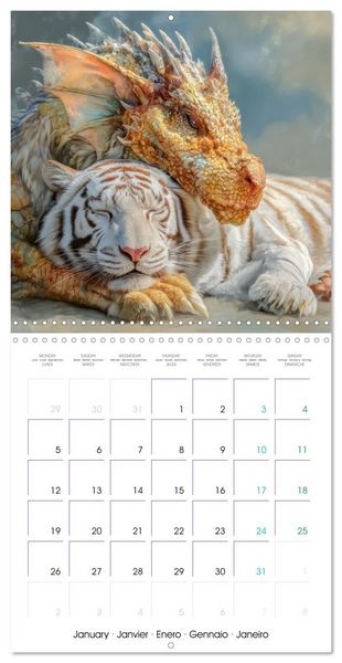 Produktbild: Dragons - A never-ending fascination (Wall Calendar 2026 12 &times; 12 Inch) CALVENDO 12 Month Wall Calendar