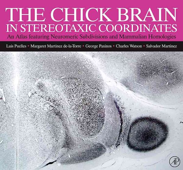 Produktbild: The Chick Brain in Stereotaxic Coordinates